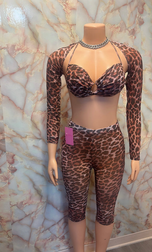 Mesh cheetah print 3pc